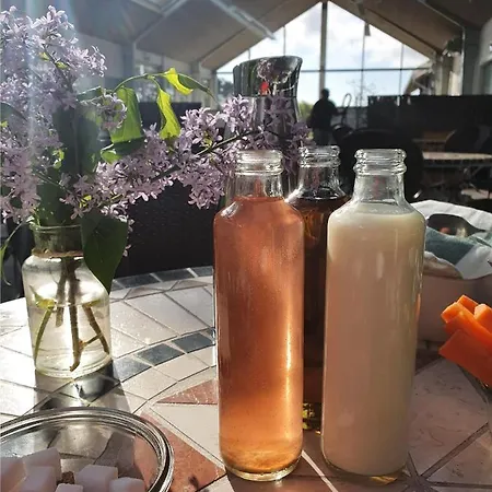 Danhostel Vandrerhjem Ishøj