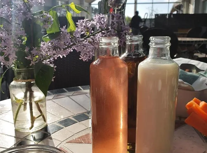 ダンホステル ストランド ホステル イショイ