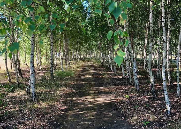 ダンホステル ストランド ホステル